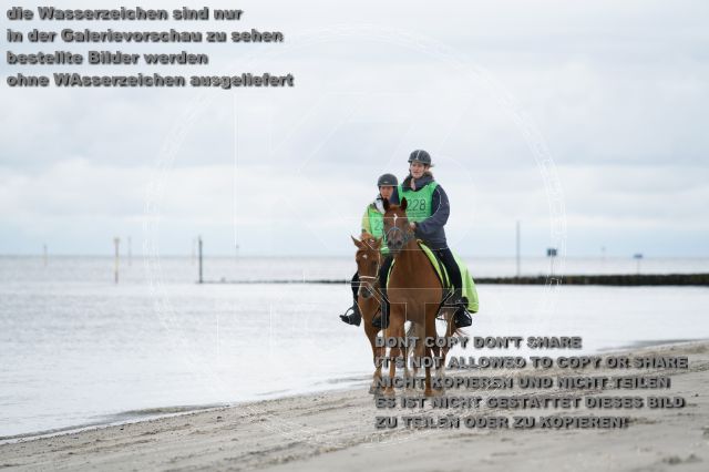 s_K3F04715.JPG